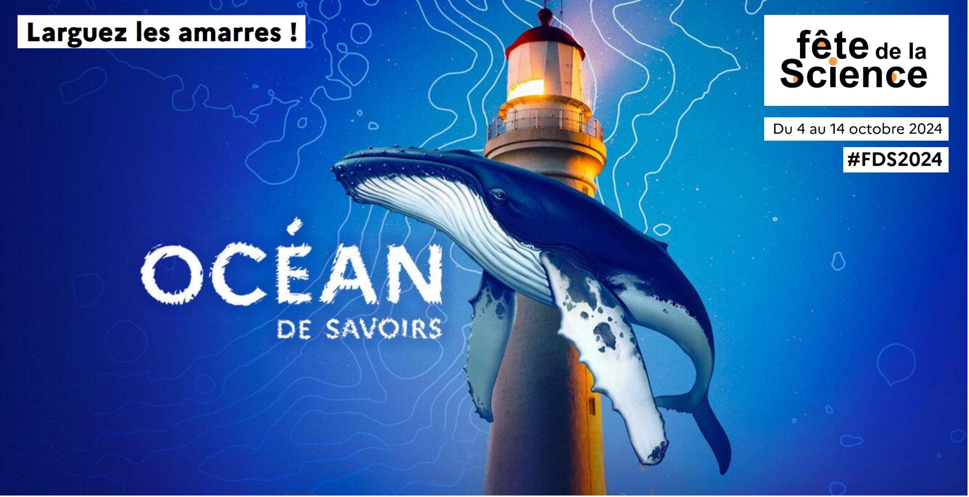 FDLS 2024 Poster