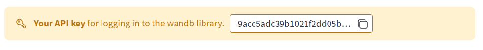 W&amp;B Token